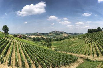 Fernwanderung Piemont von Weingut zu Weingut 011a